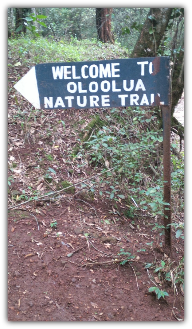 Oloolua Nature Place is the place to be after a long week at work