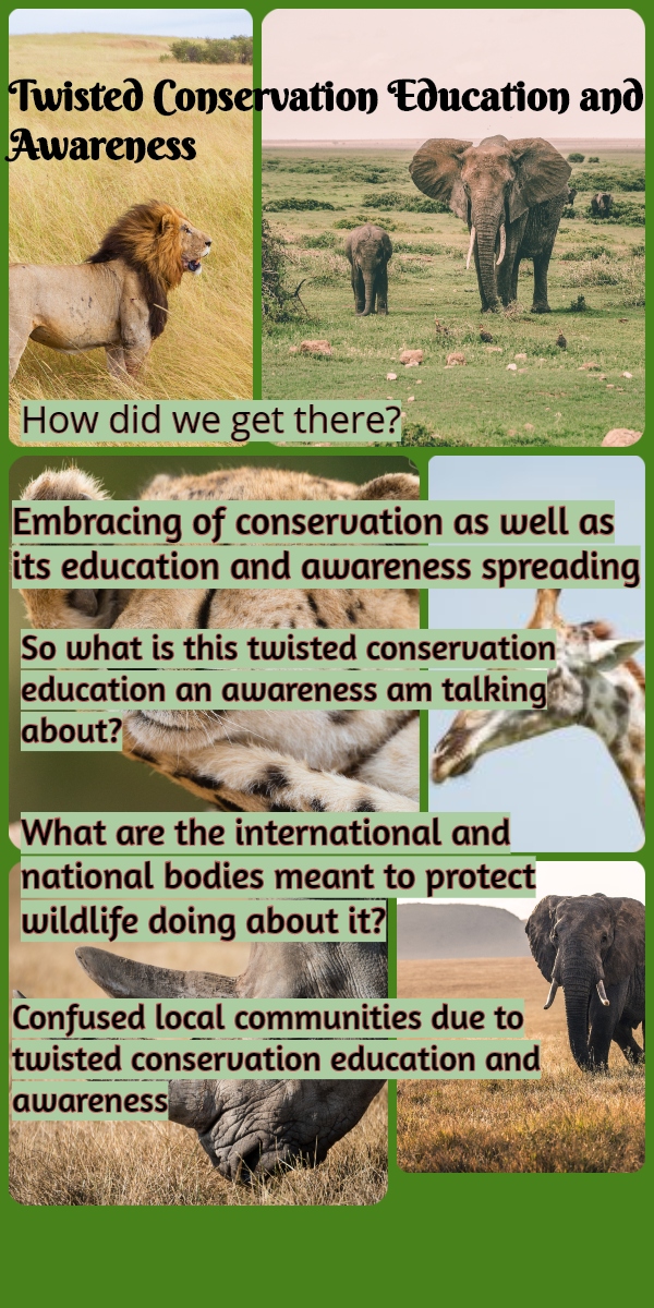 Twisted Conservation Education and Awareness