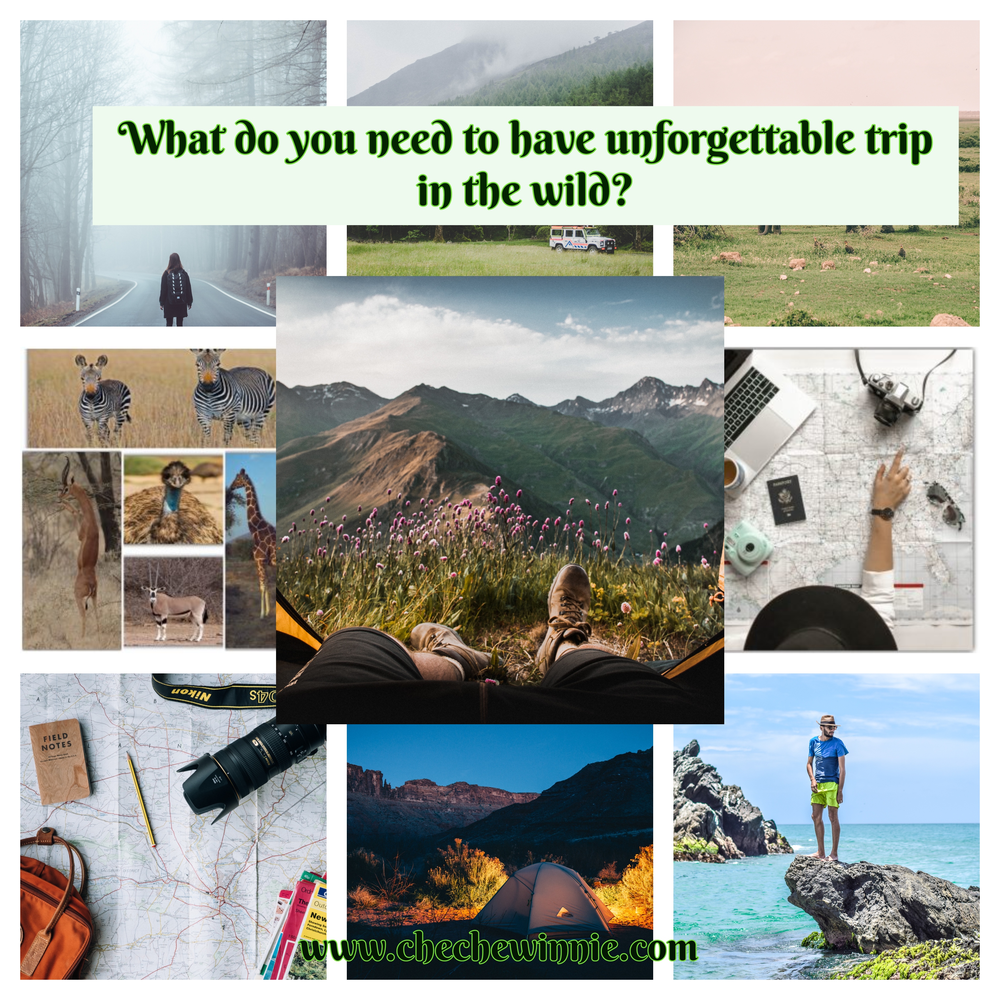What do you need to have unforgettable trip in the wild?