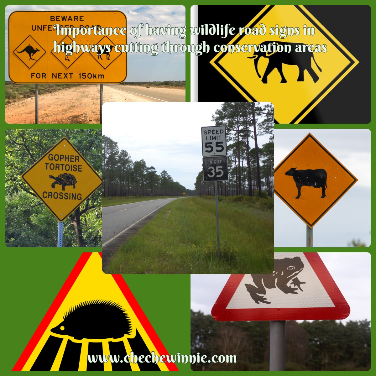 Importance of having wildlife road signs in highways cutting through conservation areas