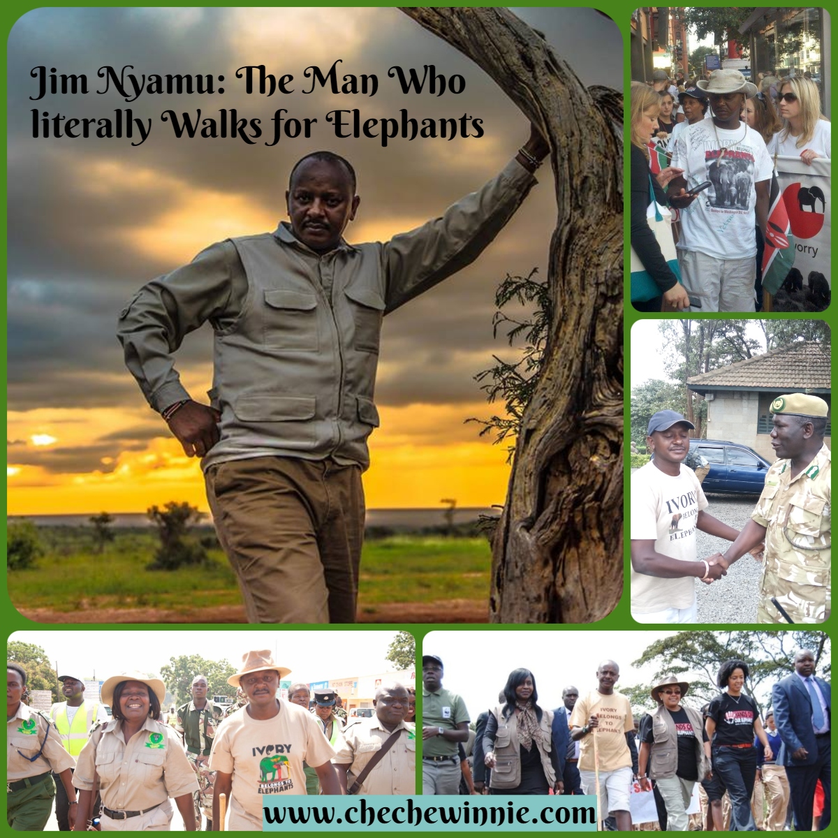 Jim Nyamu: The Man Who literally Walks for Elephants
