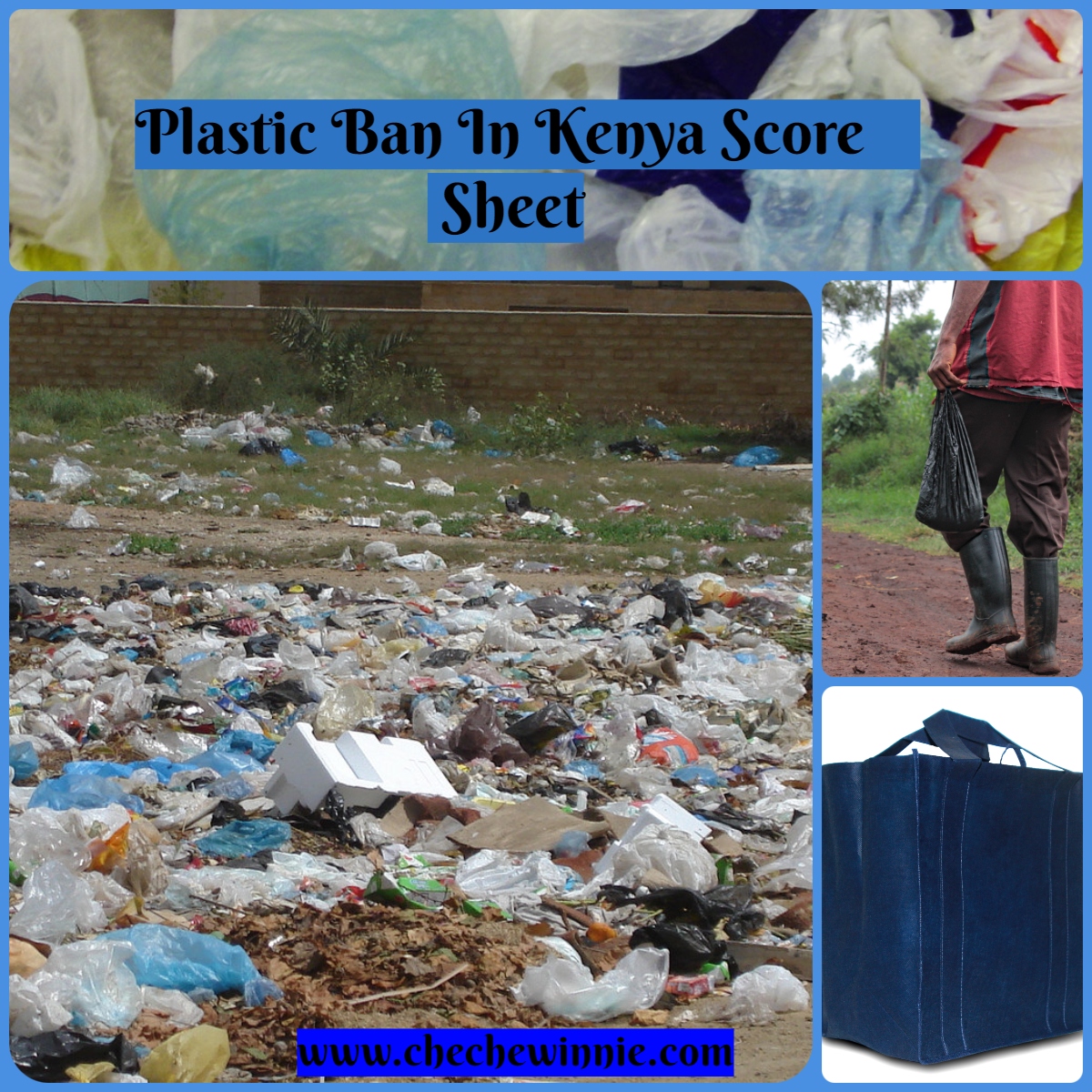 Plastic Ban In Kenya Score Sheet