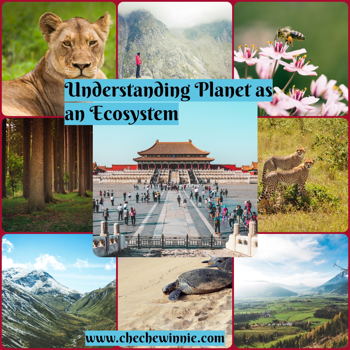 Understanding Planet as an Ecosystem