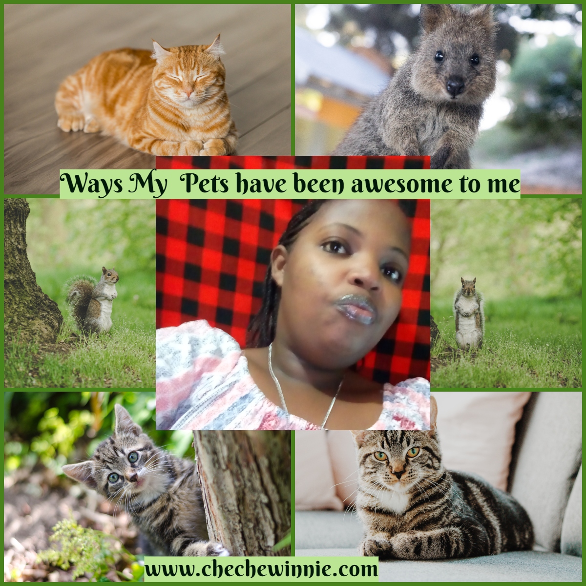 Ways My Pets have been awesome to me