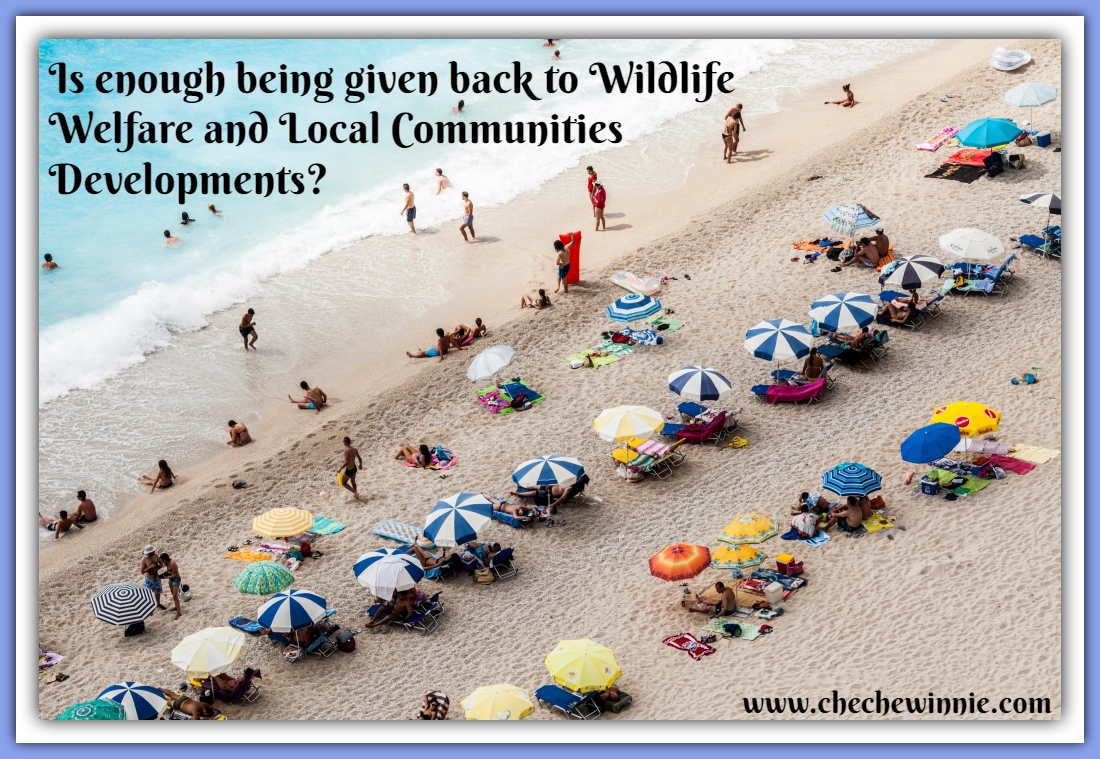 Is enough being given back to Wildlife Welfare and Local Communities Developments?