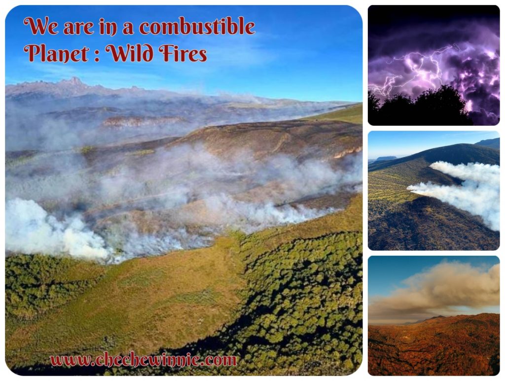We are in a combustible Planet : Wild Fires