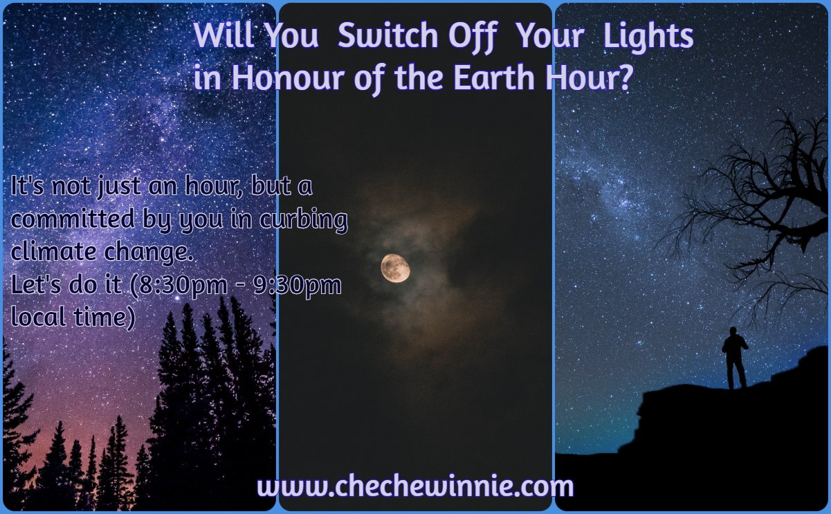 Will You Switch Off Your Lights in Honour of the Earth Hour?