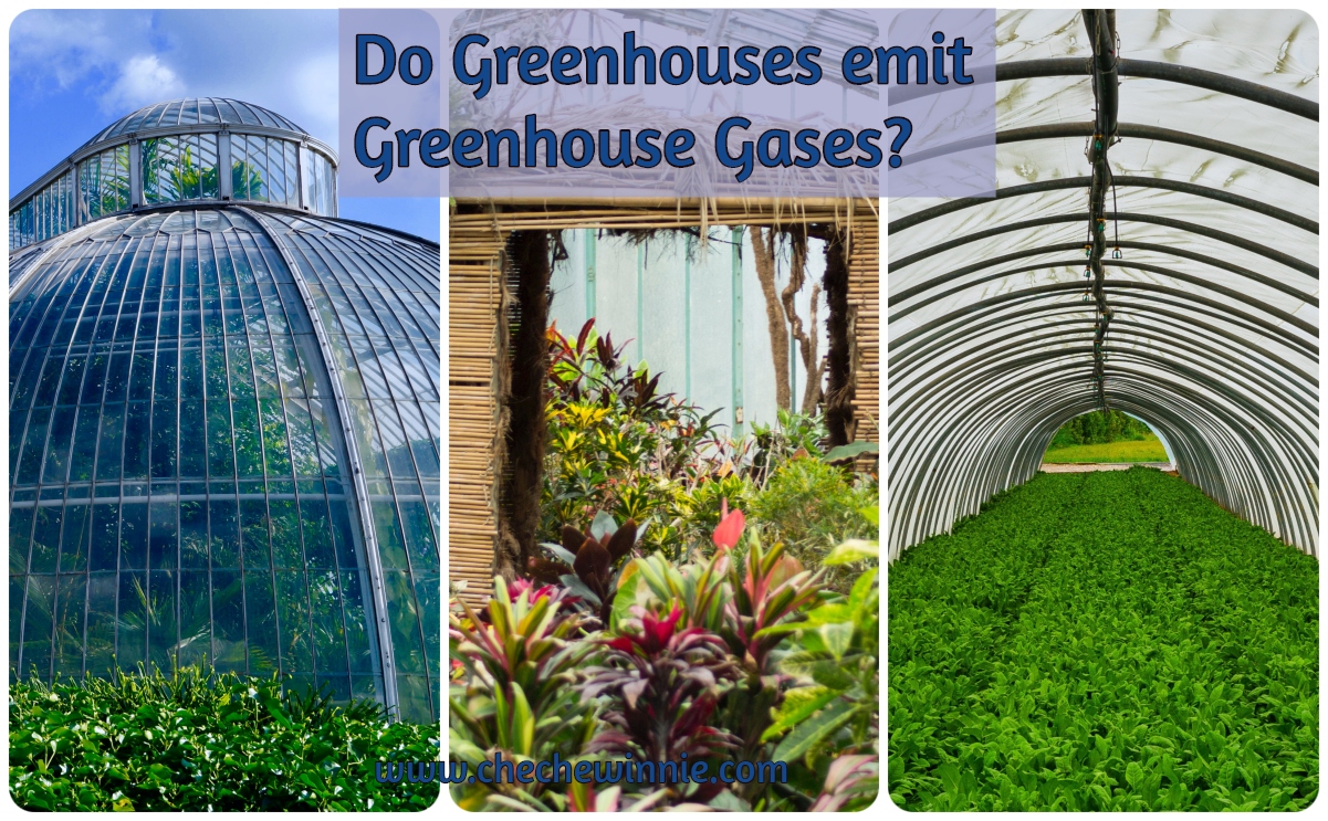 Do Greenhouses emit Greenhouse Gases?