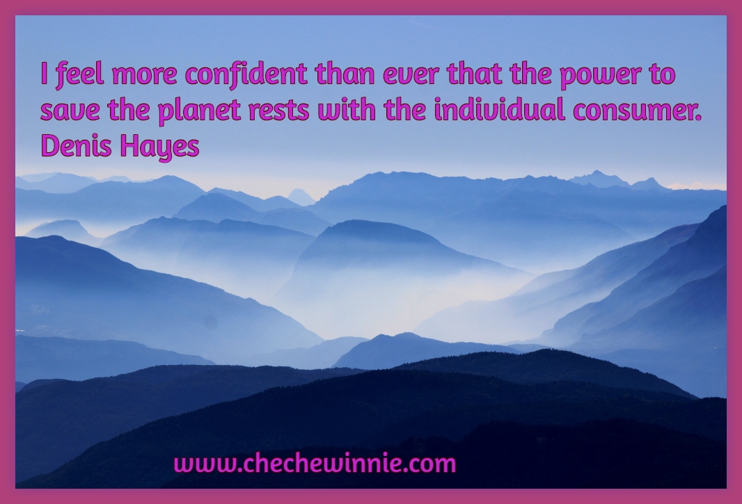 I feel more confident than ever that the power to save the planet rests with the individual consumer. Denis Hayes