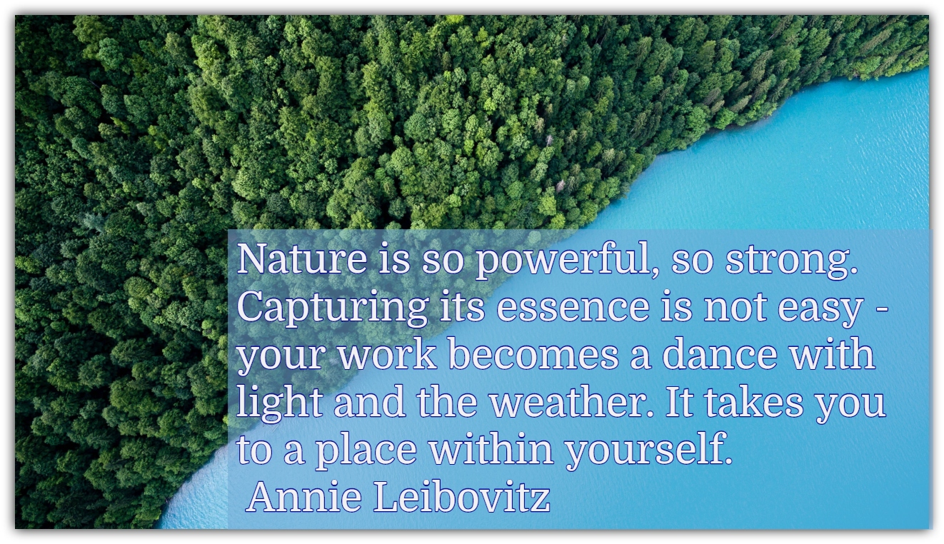 Nature is so powerful, so strong. Capturing its essence is not easy - your work becomes a dance with light and the weather. It takes you to a place within yourself. Annie Leibovitz