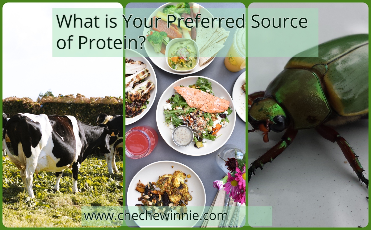 What is Your Preferred Source of Protein?