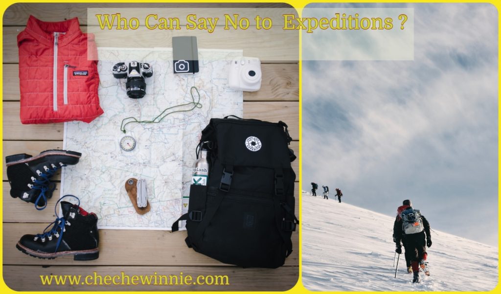 Who Can Say No to Expeditions ?