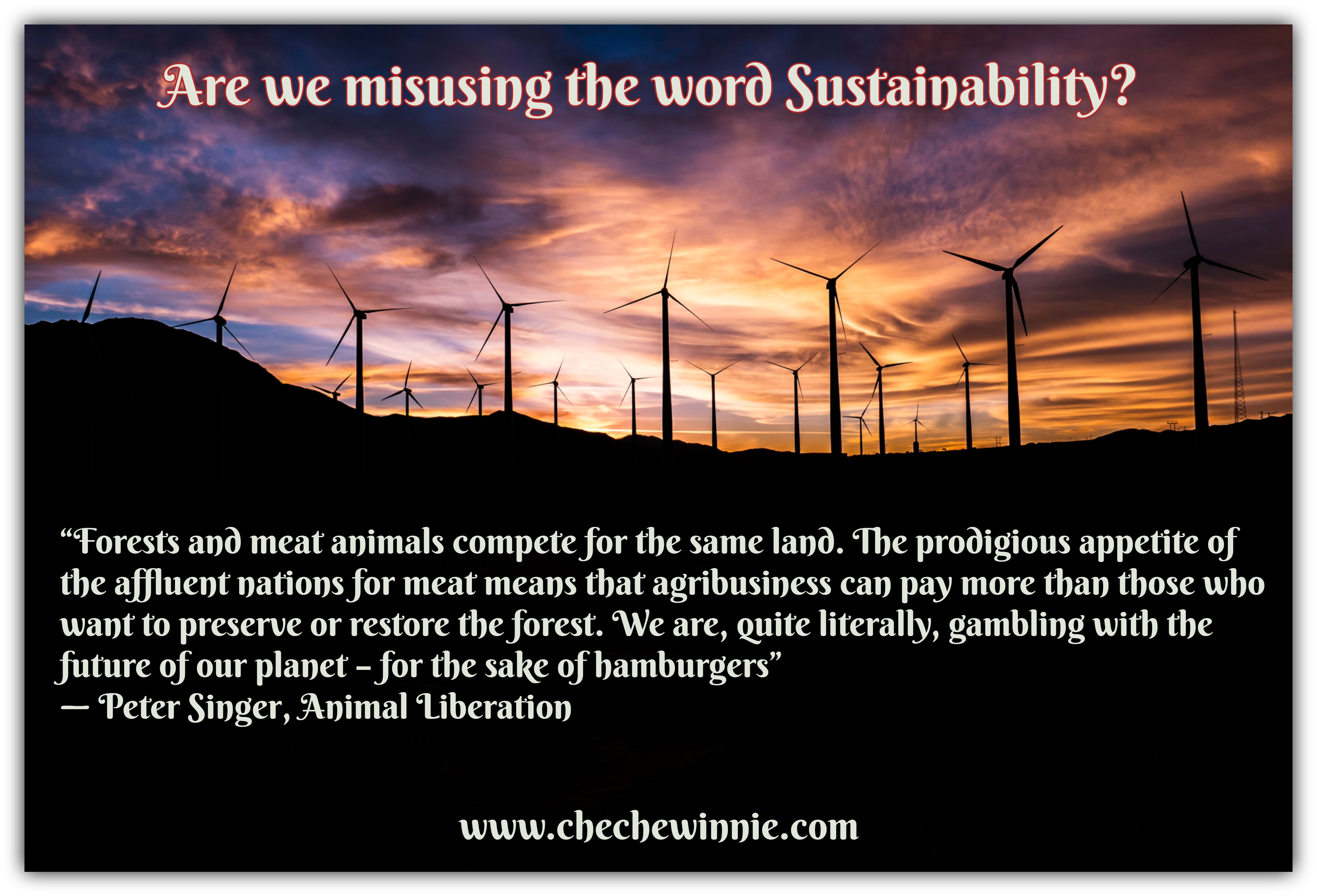 Are we misusing the word Sustainability?