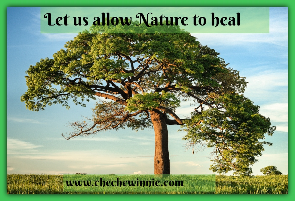 Let us allow Nature to heal