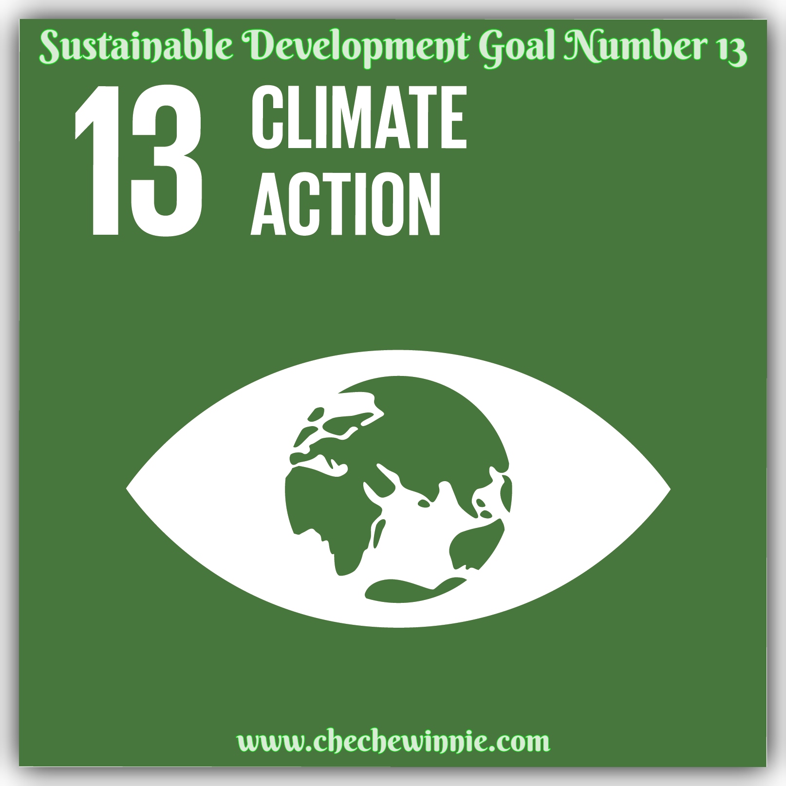 Sustainable Development Goal Number 13