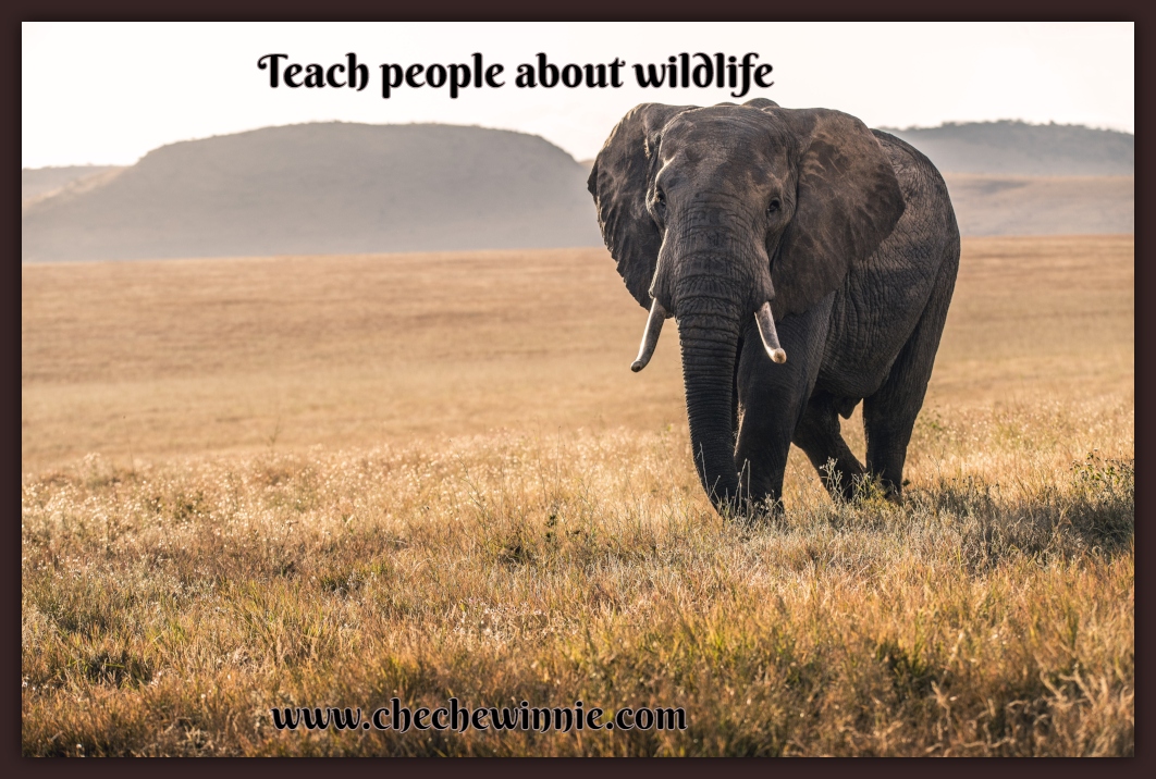 Teach people about wildlife