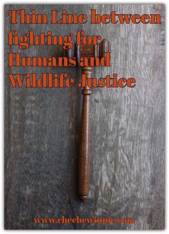 Thin Line between fighting for Humans and Wildlife Justice