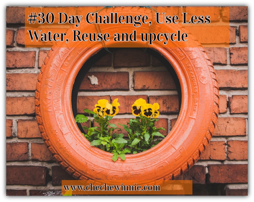 #30 Day Challenge, Use Less Water, Reuse and up-cycle