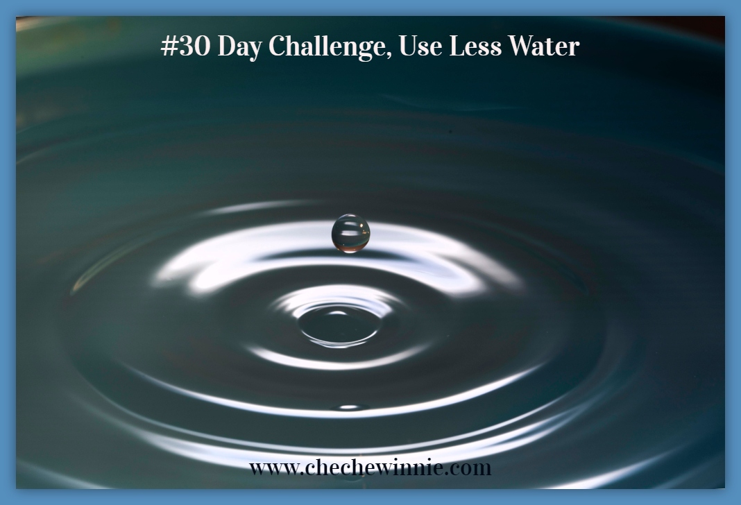 #30 Day Challenge, Use Less Water