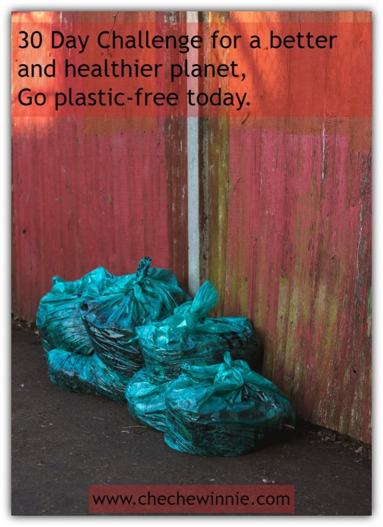 30 Day Challenge for a better and healthier planet, Go plastic-free today.