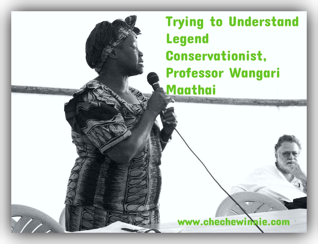Trying to Understand Legend Conservationist, Professor Wangari Maathai