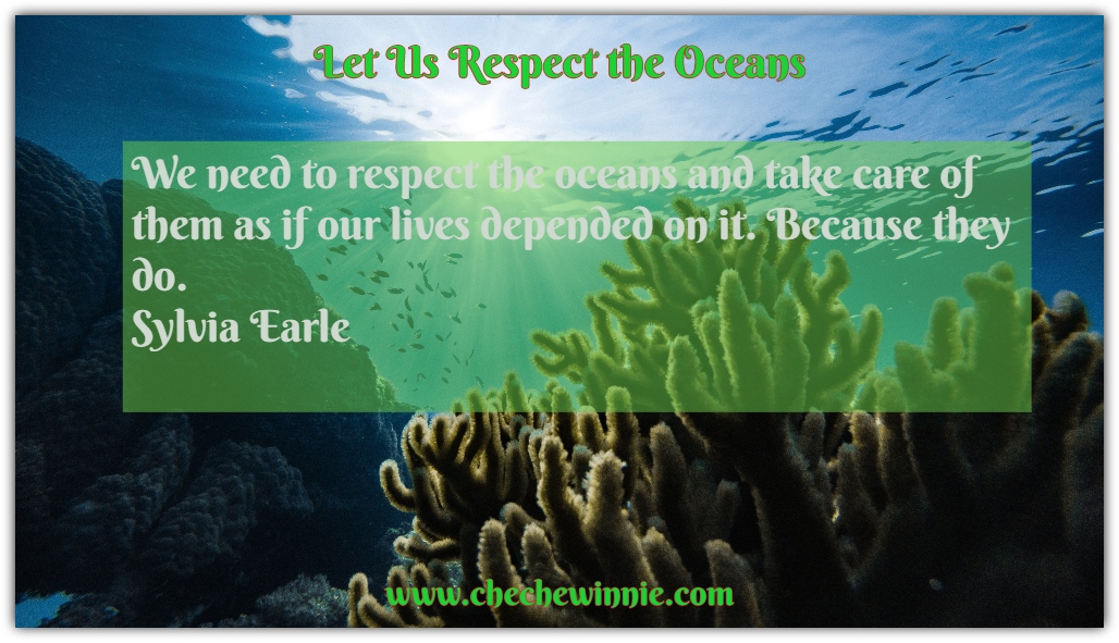Let Us Respect the Oceans