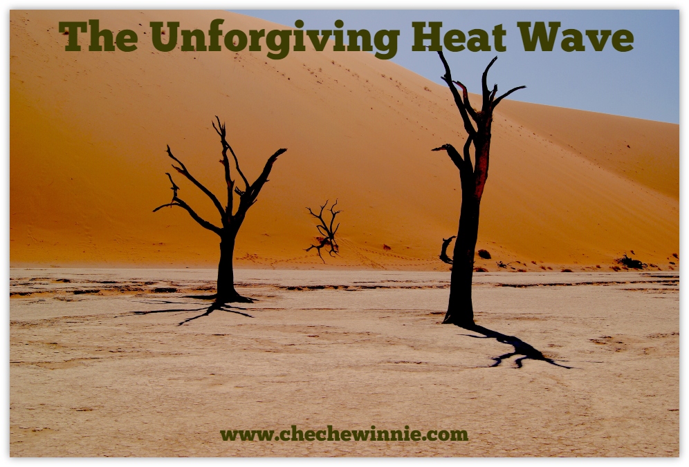 The unforgiving Heat Wave