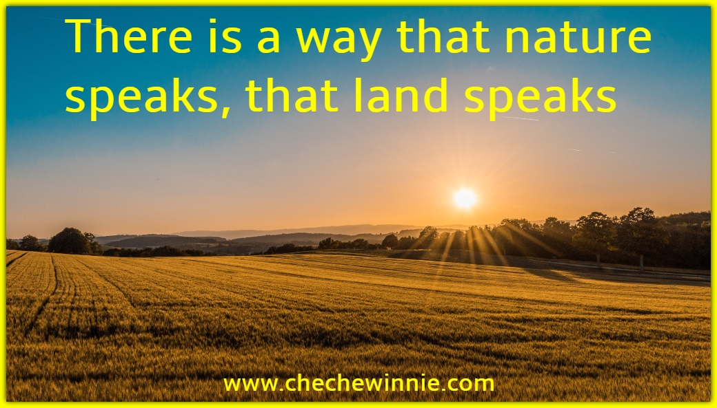 There is a way that nature speaks, that land speaks