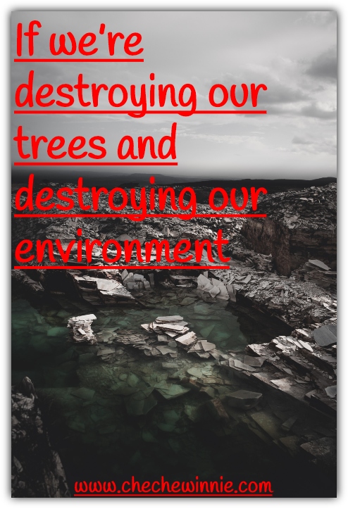 If we’re destroying our trees and destroying our environment