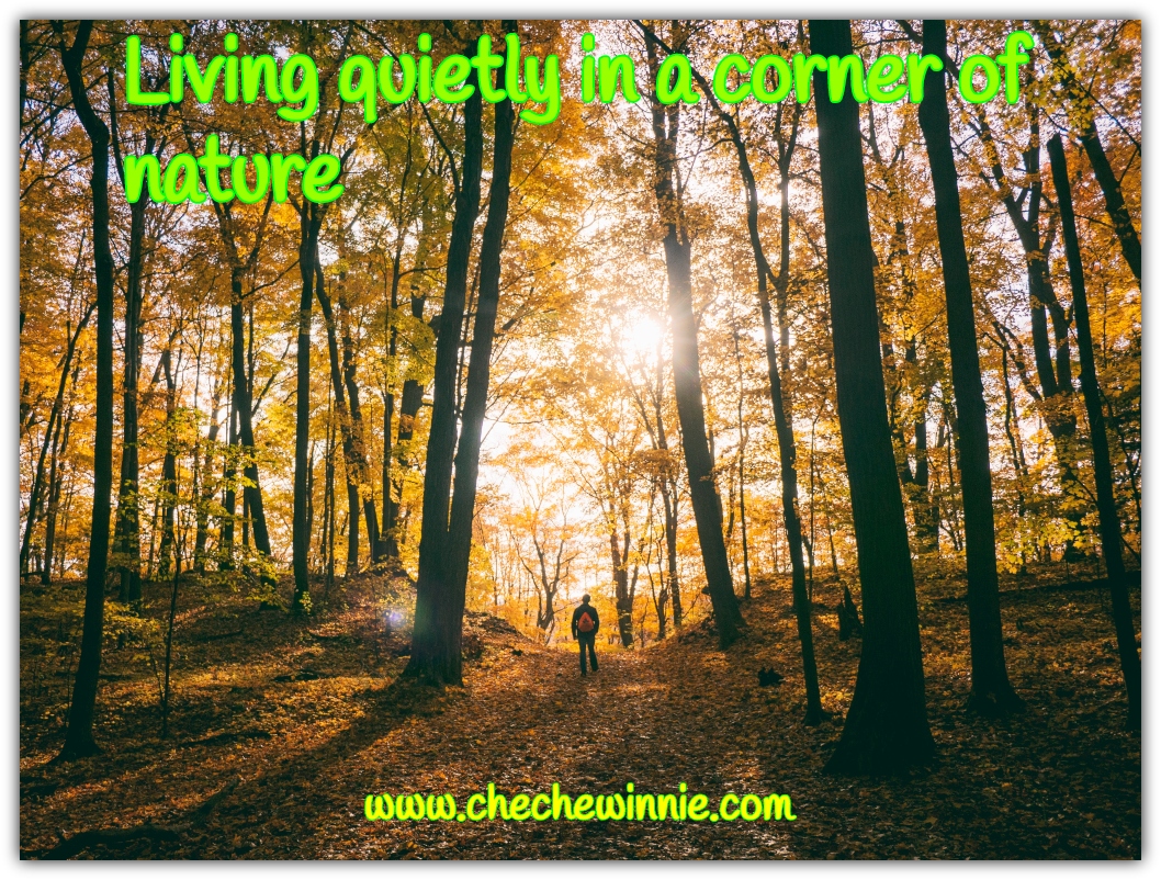 Living quietly in a corner of nature