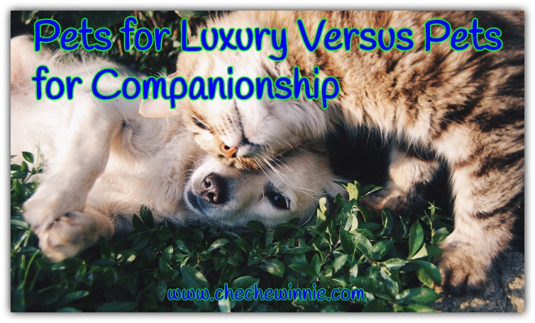 Pets for Luxury Versus Pets for Companionship