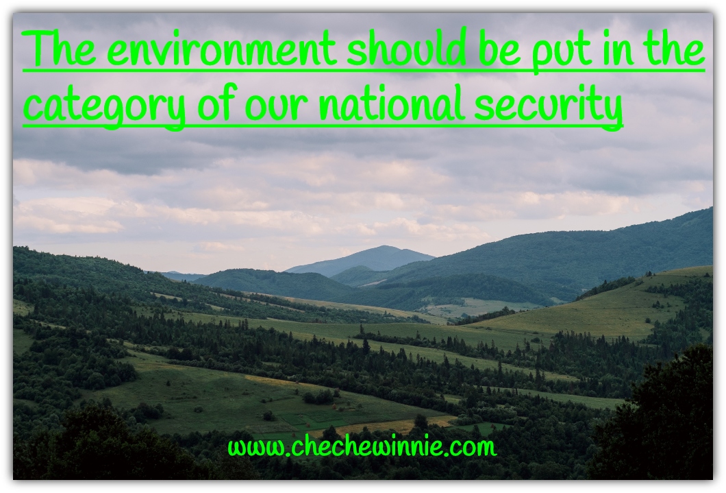 The environment should be put in the category of our national security