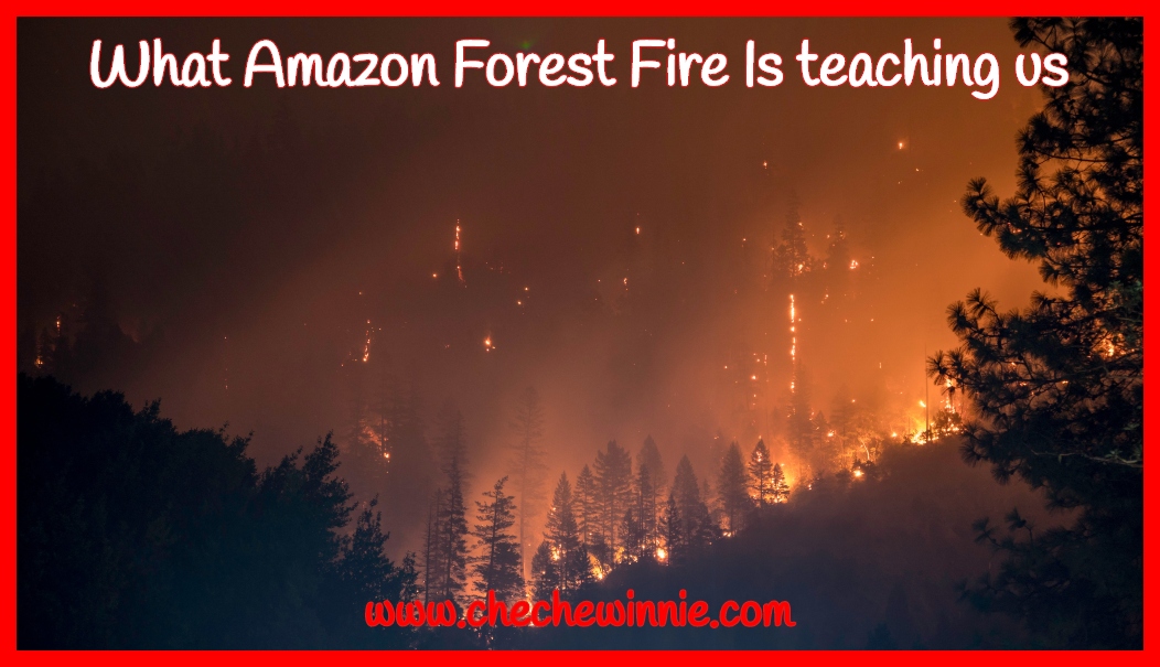 What Amazon Forest Fire Is teaching us