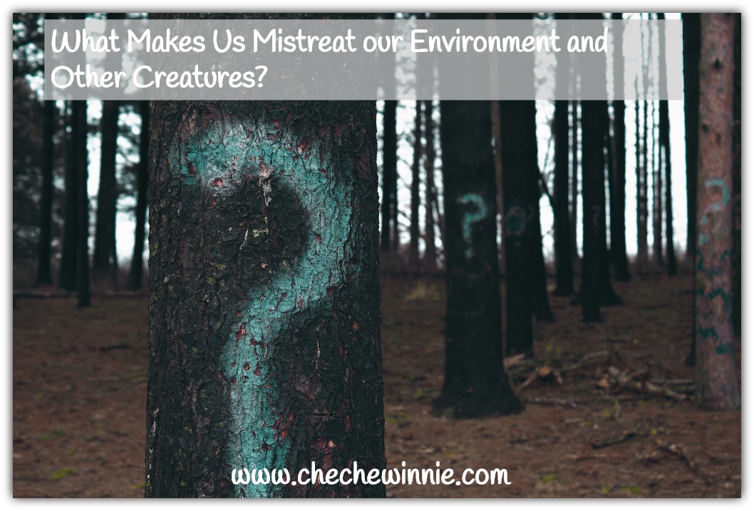 What Makes Us Mistreat our Environment and Other Creatures?