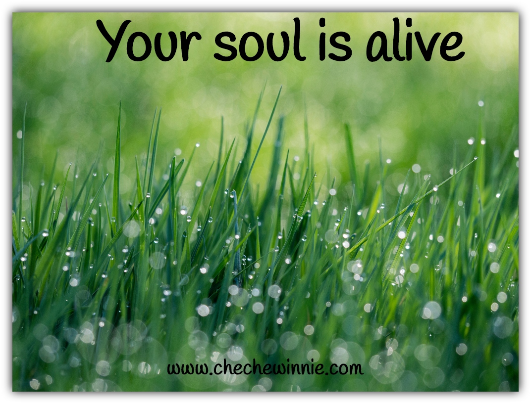 Your soul is alive