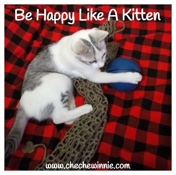 Be Happy Like A Kitten