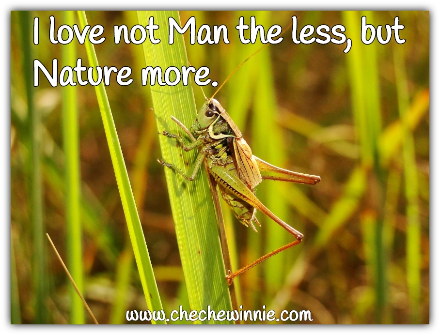 I love not Man the less, but Nature more.