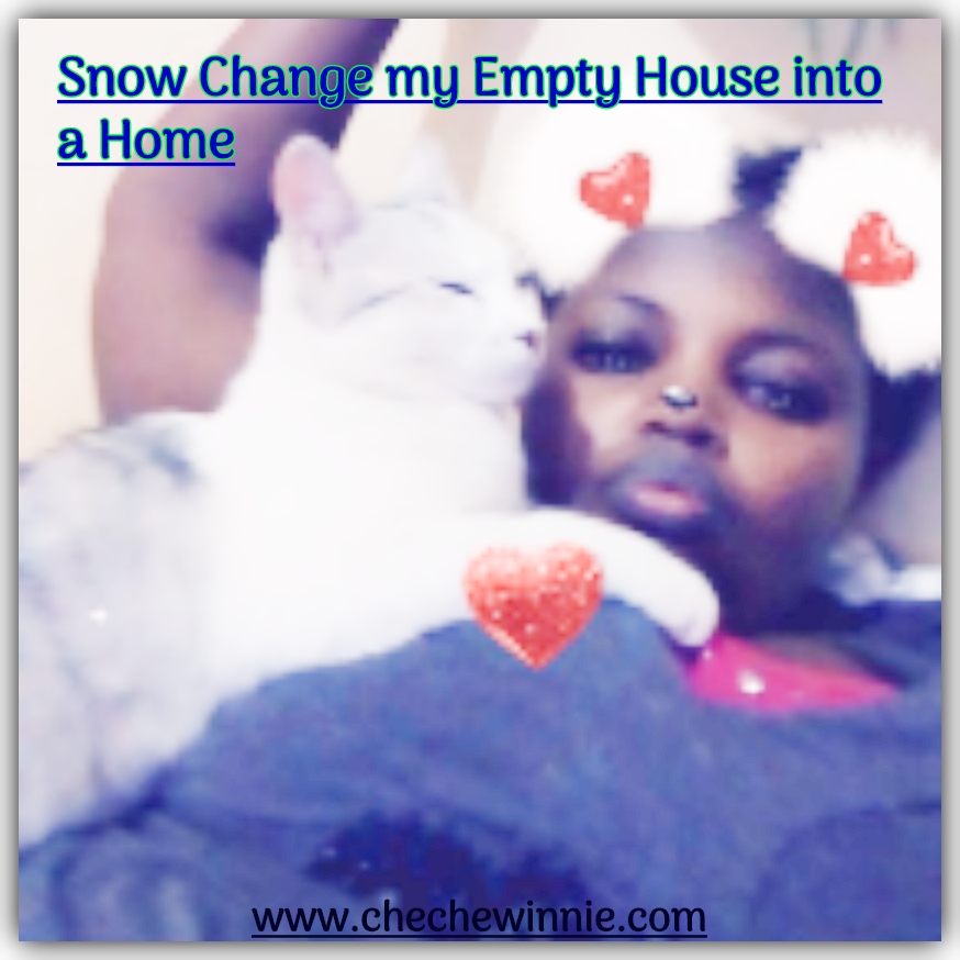 Snow Change my Empty House into a Home
