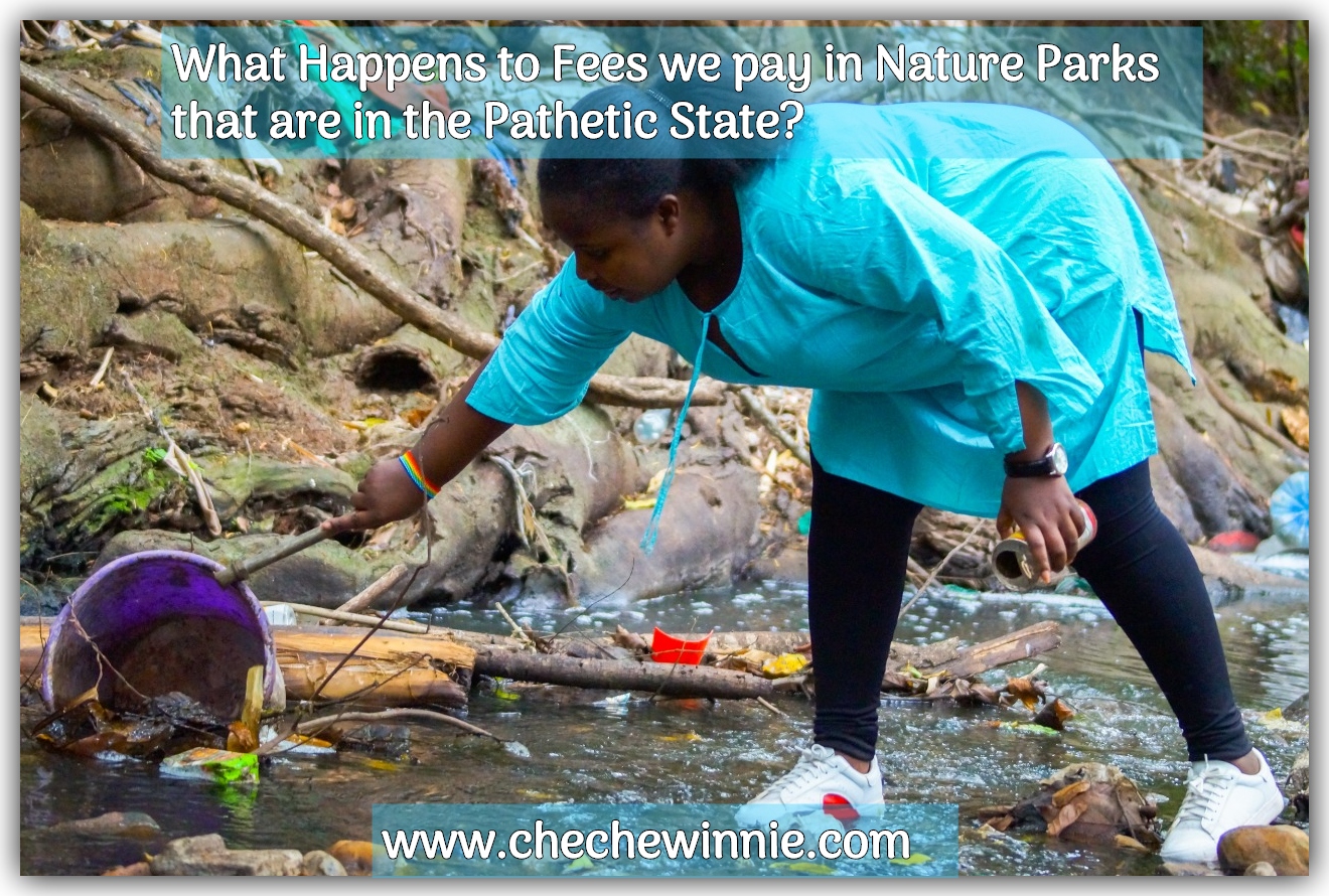 What Happens to Fees we pay in Nature Parks that are in the Pathetic State?