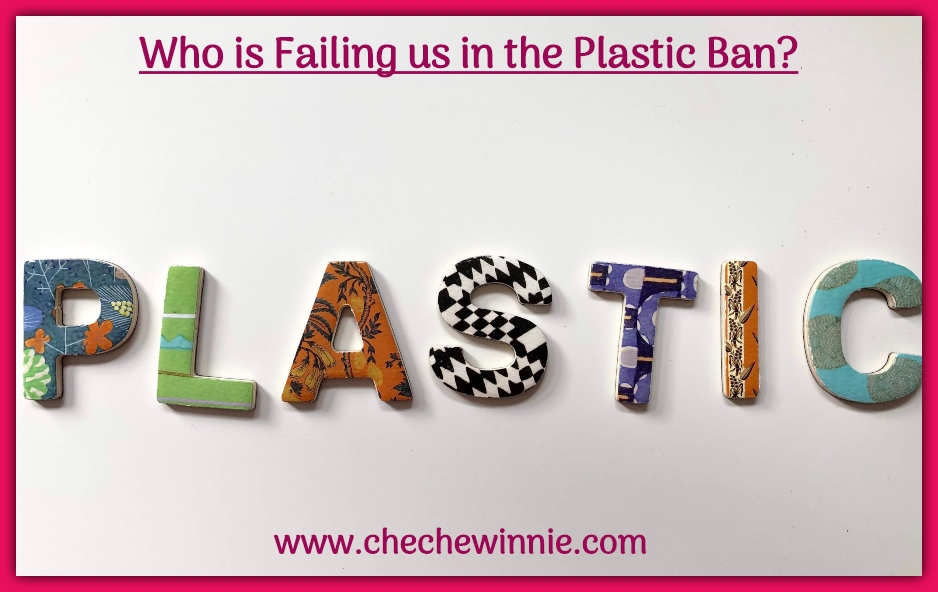 Who is Failing us in the Plastic Ban?
