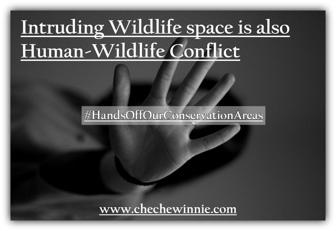 Intruding Wildlife space is also Human-Wildlife Conflict