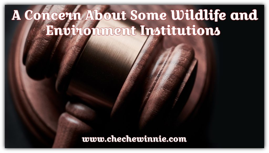 A Concern About Some Wildlife and Environment Institutions