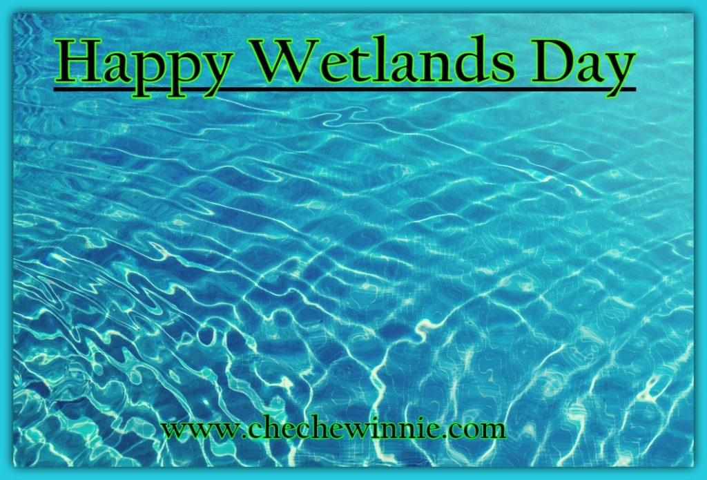 Happy Wetlands Day