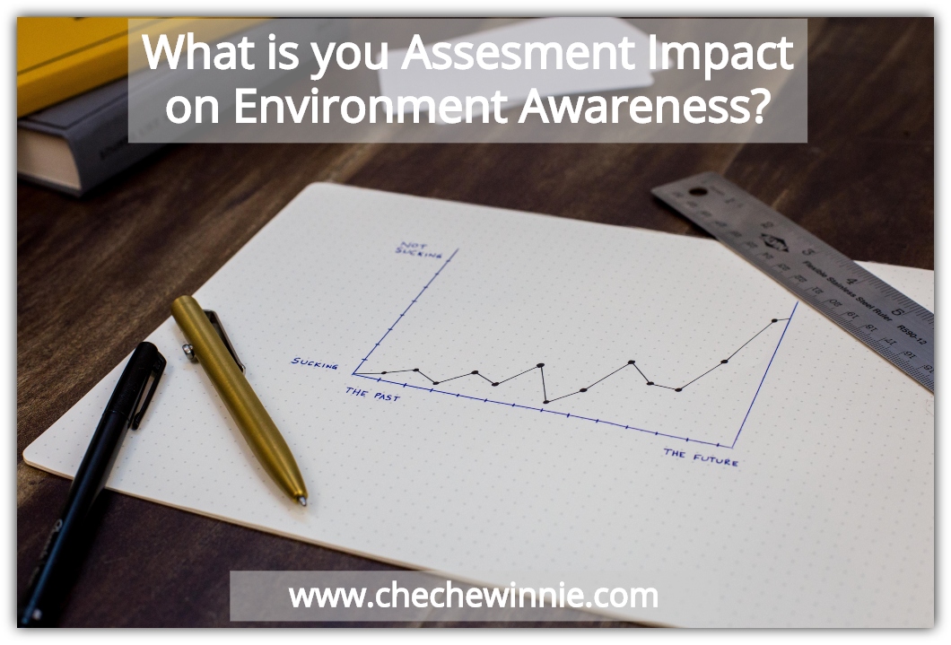 What is you Assesment Impact on Environment Awareness_