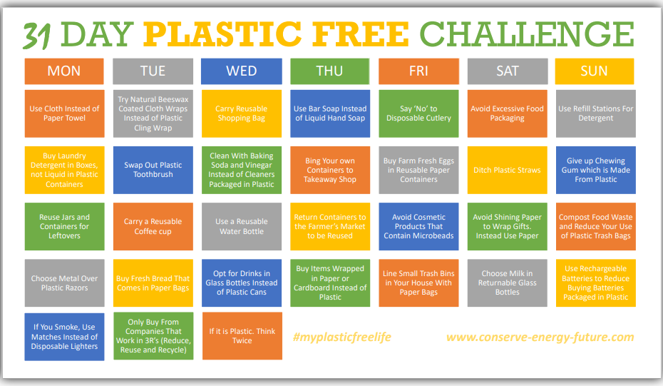 31 DAY PLASTIC FREE CHALLENGE