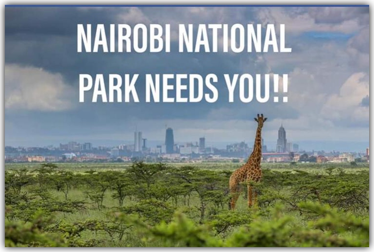 Nairobi National Park Needs You