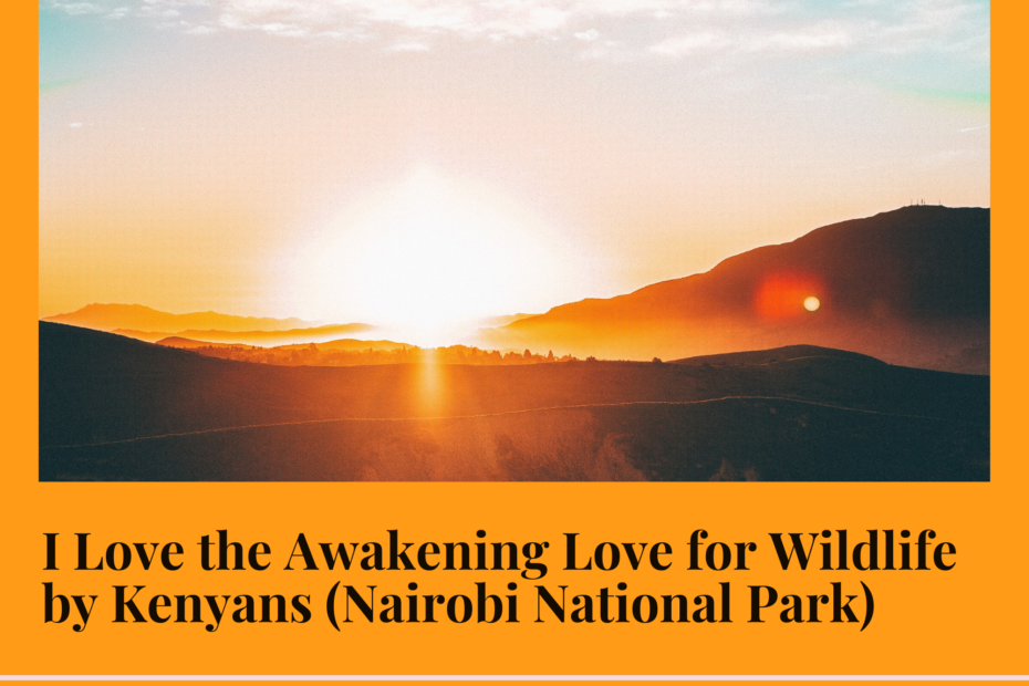 I Love the Awakening Love for Wildlife by Kenyans (Nairobi National Park)