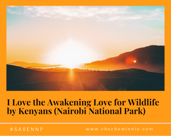 I Love the Awakening Love for Wildlife by Kenyans (Nairobi National Park)
