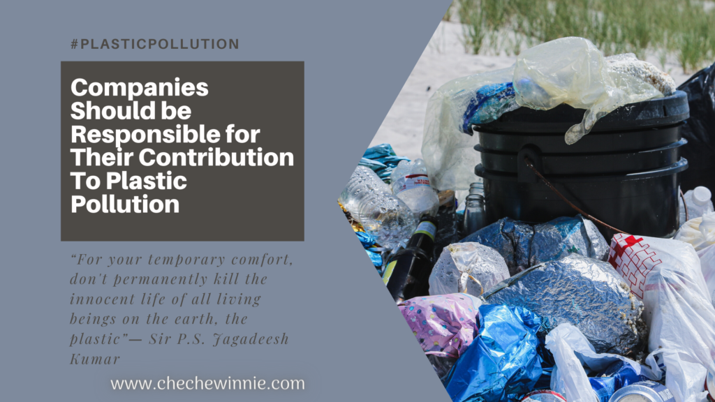 Companies Should be Responsible for Their Contribution To Plastic Pollution