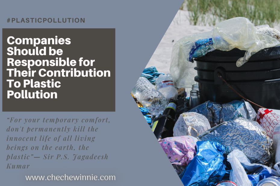 Companies Should be Responsible for Their Contribution To Plastic Pollution